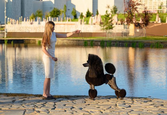 449472862_7850000298370736_8108746360491258778_n